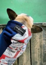 Budweiser!!アシメフードパーカー　FrenchBulldog