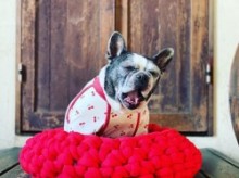 CHERRY ロンT　FrenchBulldog