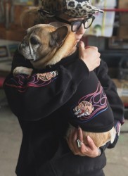 FIRE Pinstripe BULLDOG French Bulldog