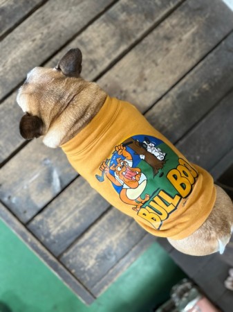 ハーフジップGOLFSWEAT!!　French Bulldog