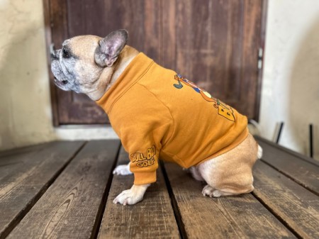 ハーフジップGOLFSWEAT!!　French Bulldog