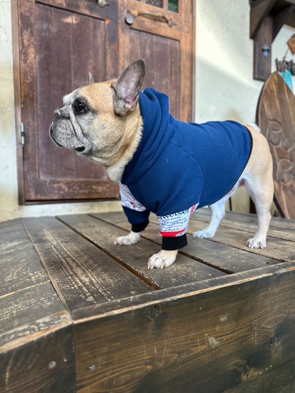 Budweiser!!アシメフードパーカー　FrenchBulldog