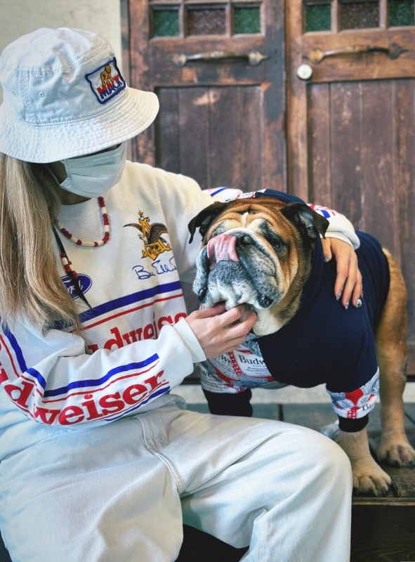 Budweiser!!アシメフードパーカー　EnglishBulldog