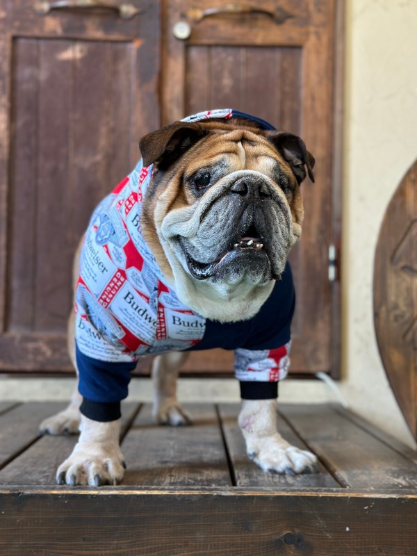 Budweiser!!アシメフードパーカー　EnglishBulldog