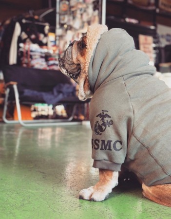 限定★Vintage!!　USMCフードボアパーカー ENGLISH BULLDOG