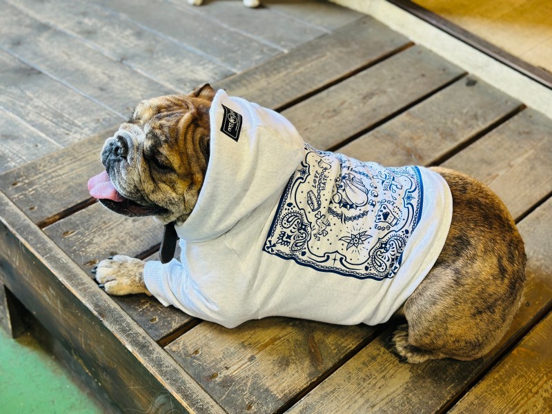 NEW !! Paisley back print hoodie　English Bulldog