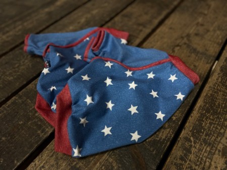 Stars&Stripes☆★☆　English bullbog