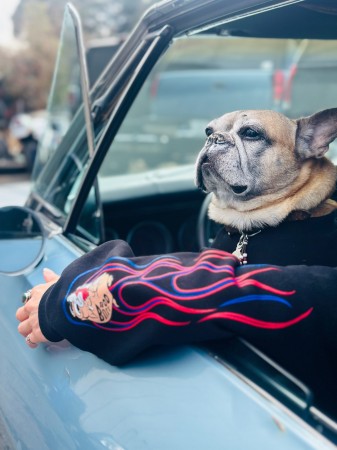 FIRE Pinstripe BULLDOG Owner's hoodie
