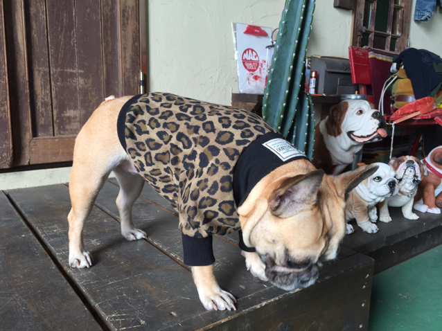 leopard print TEE!!!!