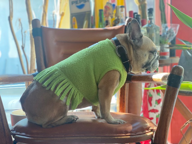 Cactusフリンジ　FrenchBulldog