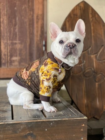 Vintage Flower　French bulldog