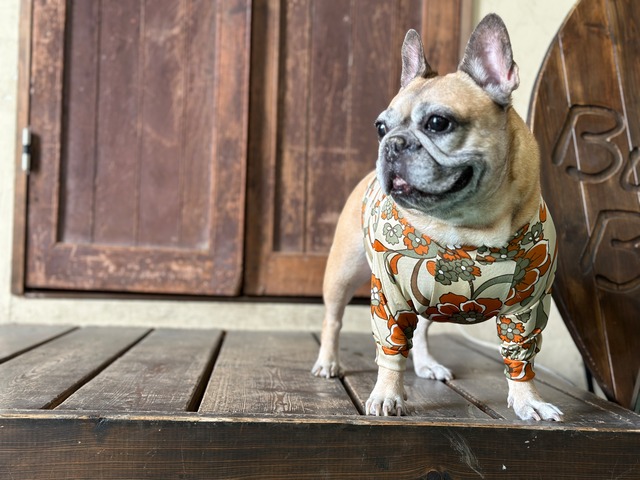 リュクスFlowerロンT　FrenchBulldog