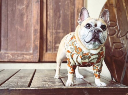 リュクスFlowerロンT　FrenchBulldog