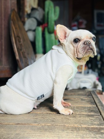 neck flower tank  French Bulldog