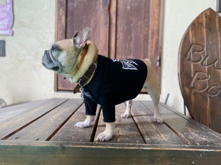 アイアンクロス　T　FrenchBulldog