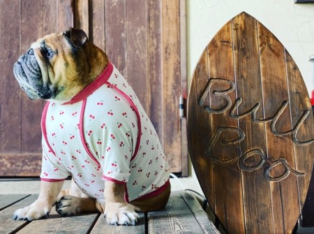 CHERRY ロンT　EnglishBulldog