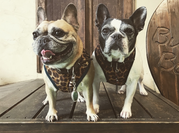 Leopard 水着マッチョタンク Frenchbulldog イングリッシュブルドッグ フレンチブルドッグのオリジナル服とグッズの販売 ブル ブー