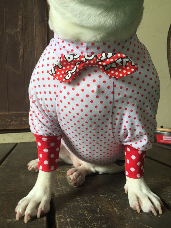 レトロ BETTY リボン♡ EnglishBulldog