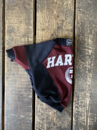 vintage!!SPORTS　SWEAT　FB　L