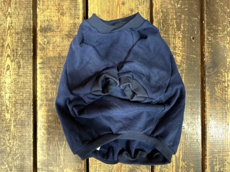 Vintage BULLDOG　sweat　English bulldog L