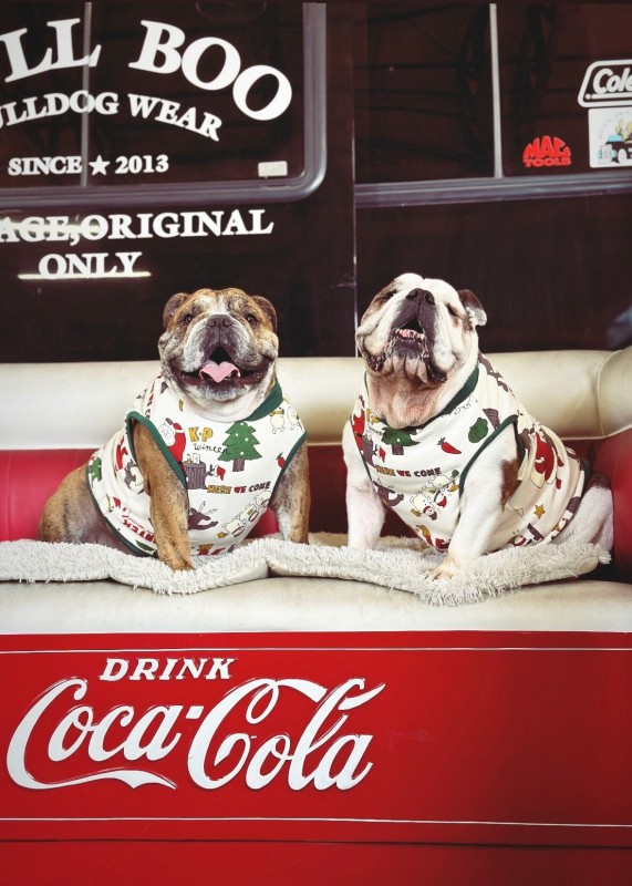 RETRO X'mas‼︎  EnglishBulldog