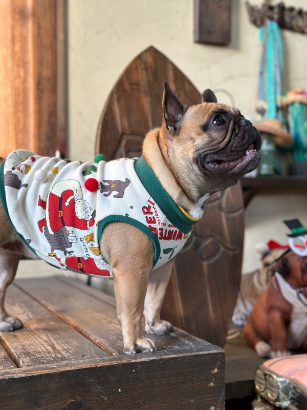 Xmas!!French Bulldog