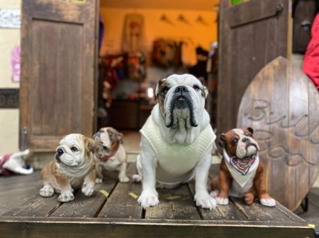 Preference Quilt　English Bulldog