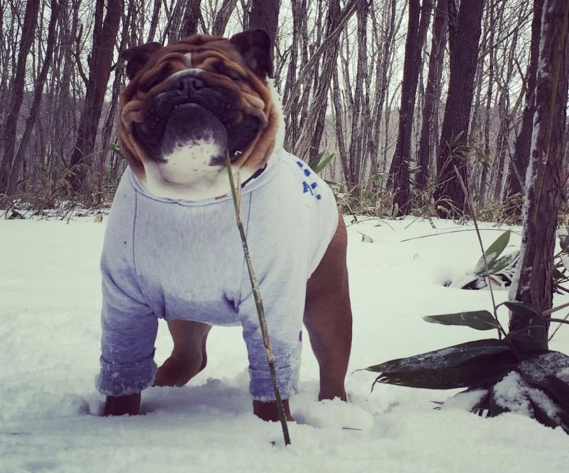 Vintage!!　フードボアパーカー　EB　L