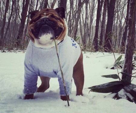 Vintage!!　フードボアパーカー　EB　L