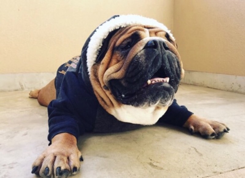 Vintage!!　フードボアパーカー　EB　L