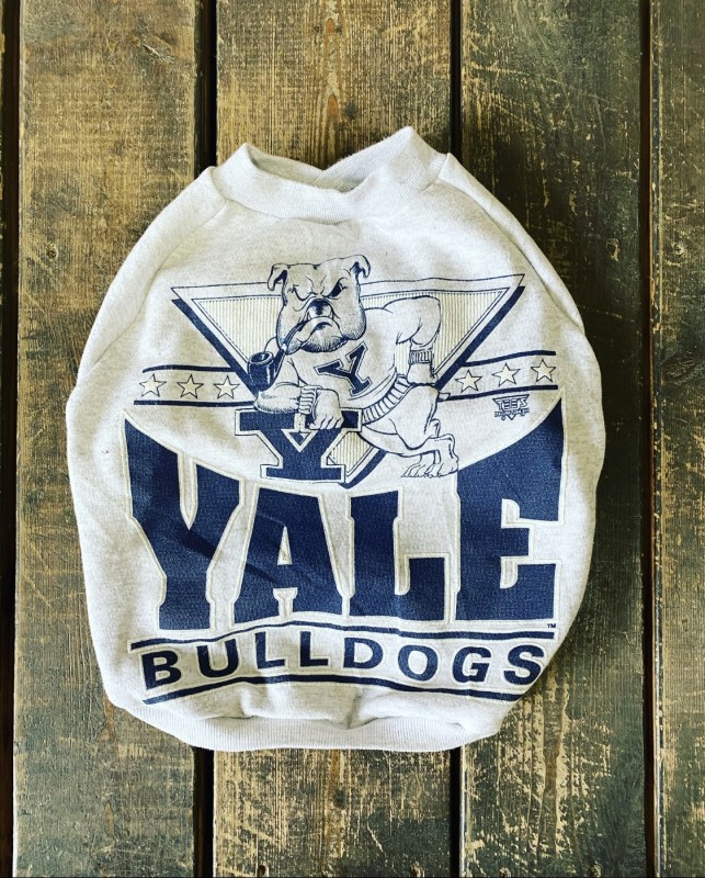 Vintage!! BULLDOG sweat EnglishBulldog L