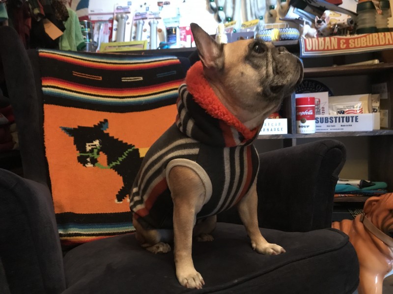 VIVIT” ボアタンク  French Bulldog