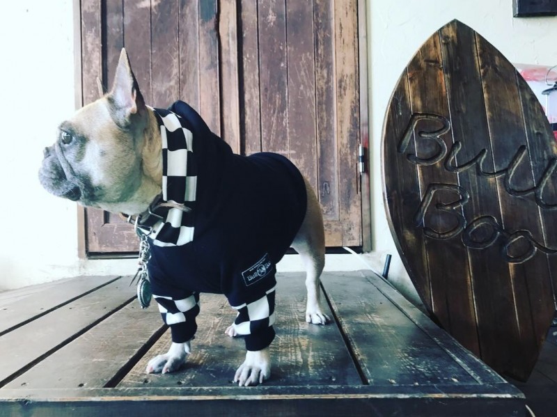 レーシング /ss パーカー  French Bulldog