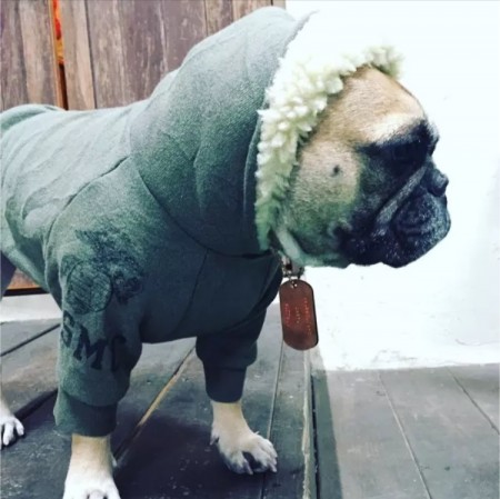 限定‼️USMC フードボアパーカー　French Bulldog