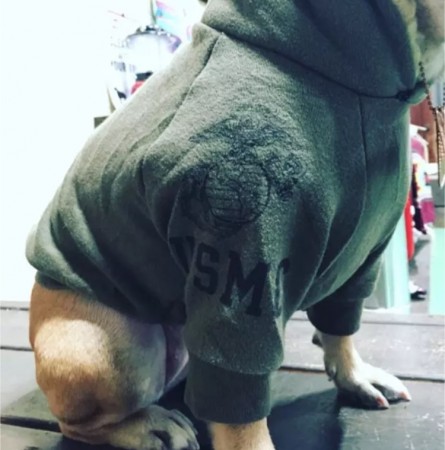限定‼️USMC フードボアパーカー　French Bulldog