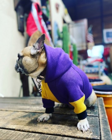 アシメフード　FrenchBulldog