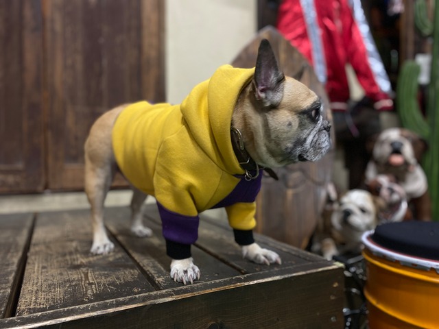 アシメフード　FrenchBulldog